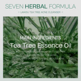 فوم شستشوی صورت ضد جوش درخت چای لایکو LAIKOU