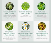 فوم شستشوی صورت ضد جوش درخت چای لایکو LAIKOU