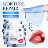 ماسک ورقه ای لب نرم کننده و مرطوب کننده بلوبری FAYANKOU وزن 8 گرم