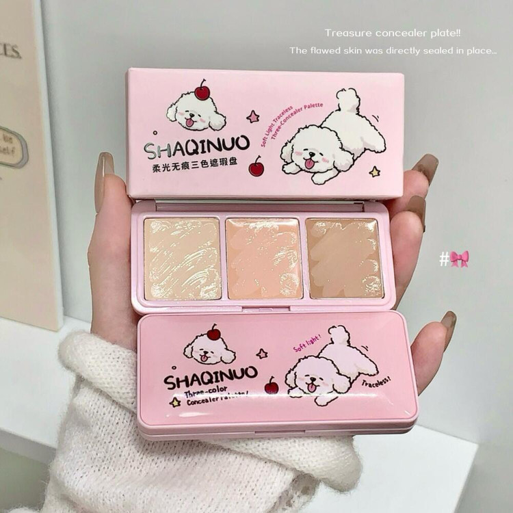 SHAQINUO-CONCELEAR-PALET