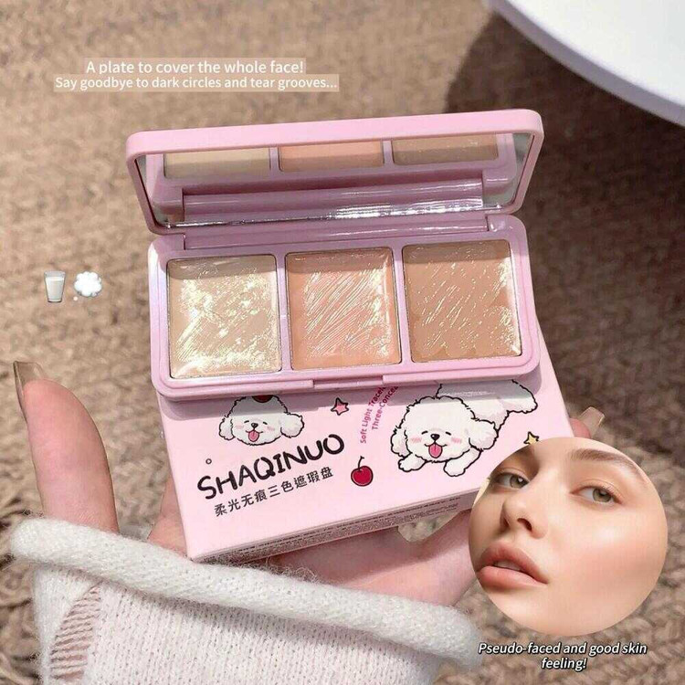 SHAQINUO-CONCELEAR-PALET